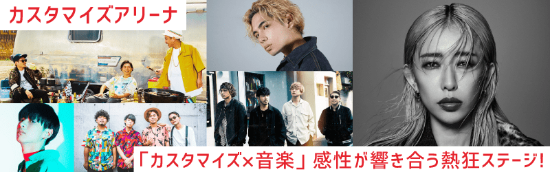 カスタマイズアリーナ